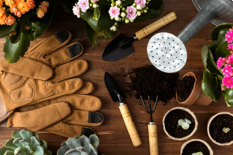 Gardening 101